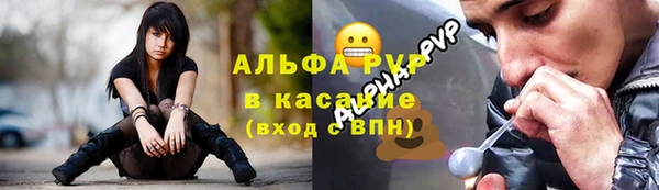 apvp Бородино
