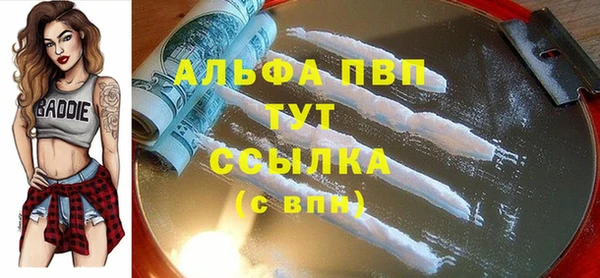apvp Бородино