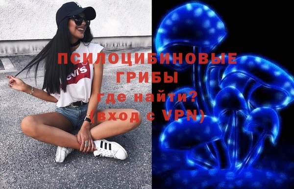 ALPHA PVP Богданович